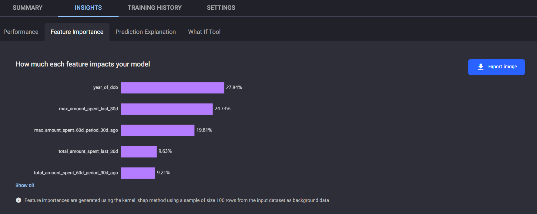 Feature importance page under Insights tab CLV prediction